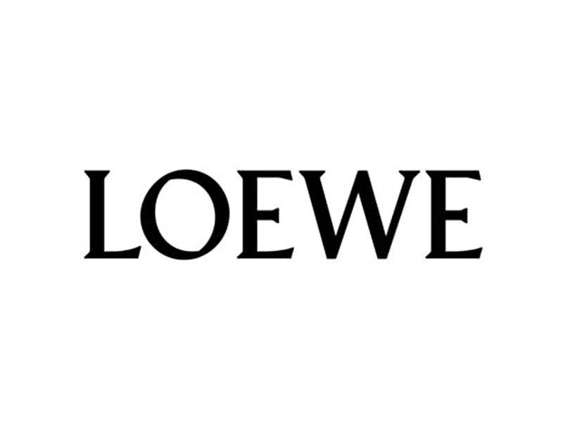 داستان برند Loewe؛ از یک کارگاه چرم‌سازی در مادرید تا یکی از لوکس‌ترین برندهای جهان